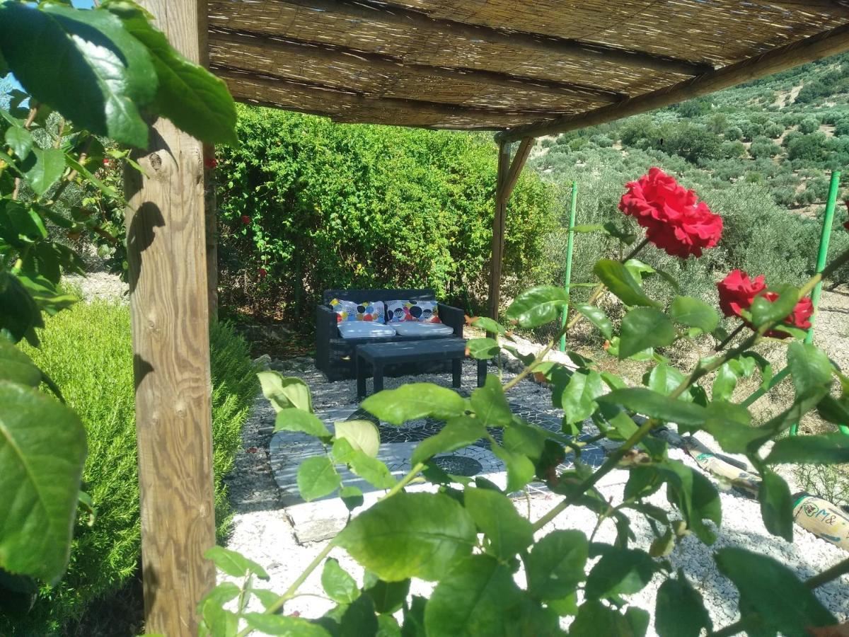 B&B Lasnavillasmm Montefrío Esterno foto