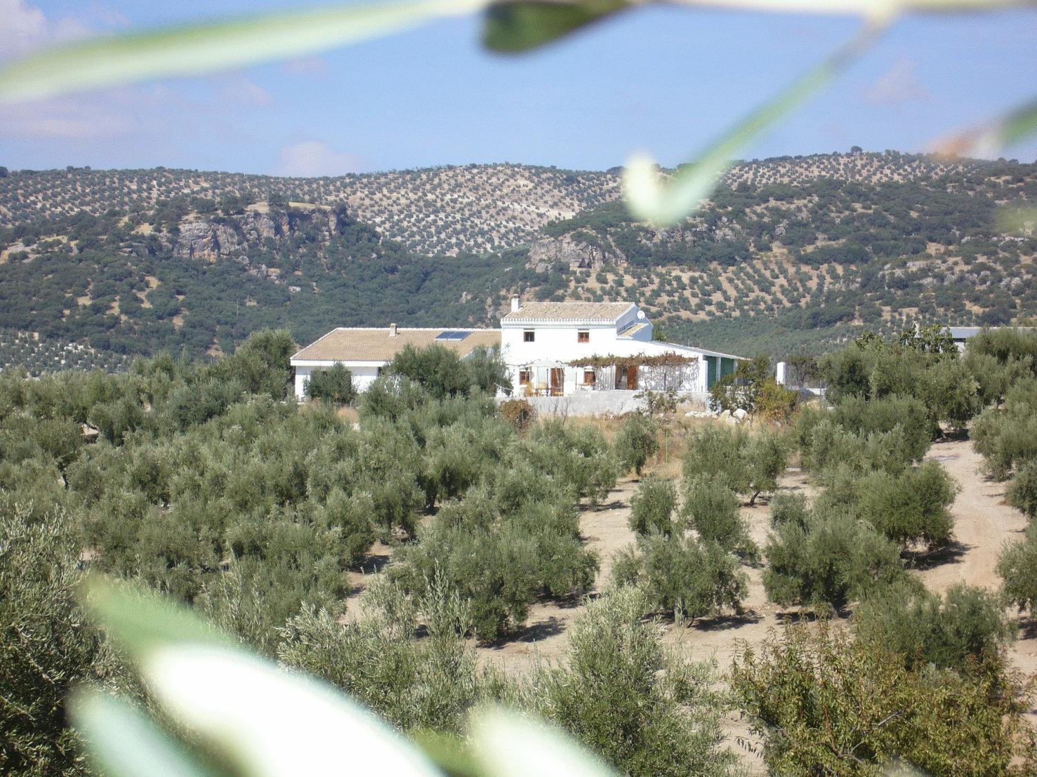 B&B Lasnavillasmm Montefrío Esterno foto